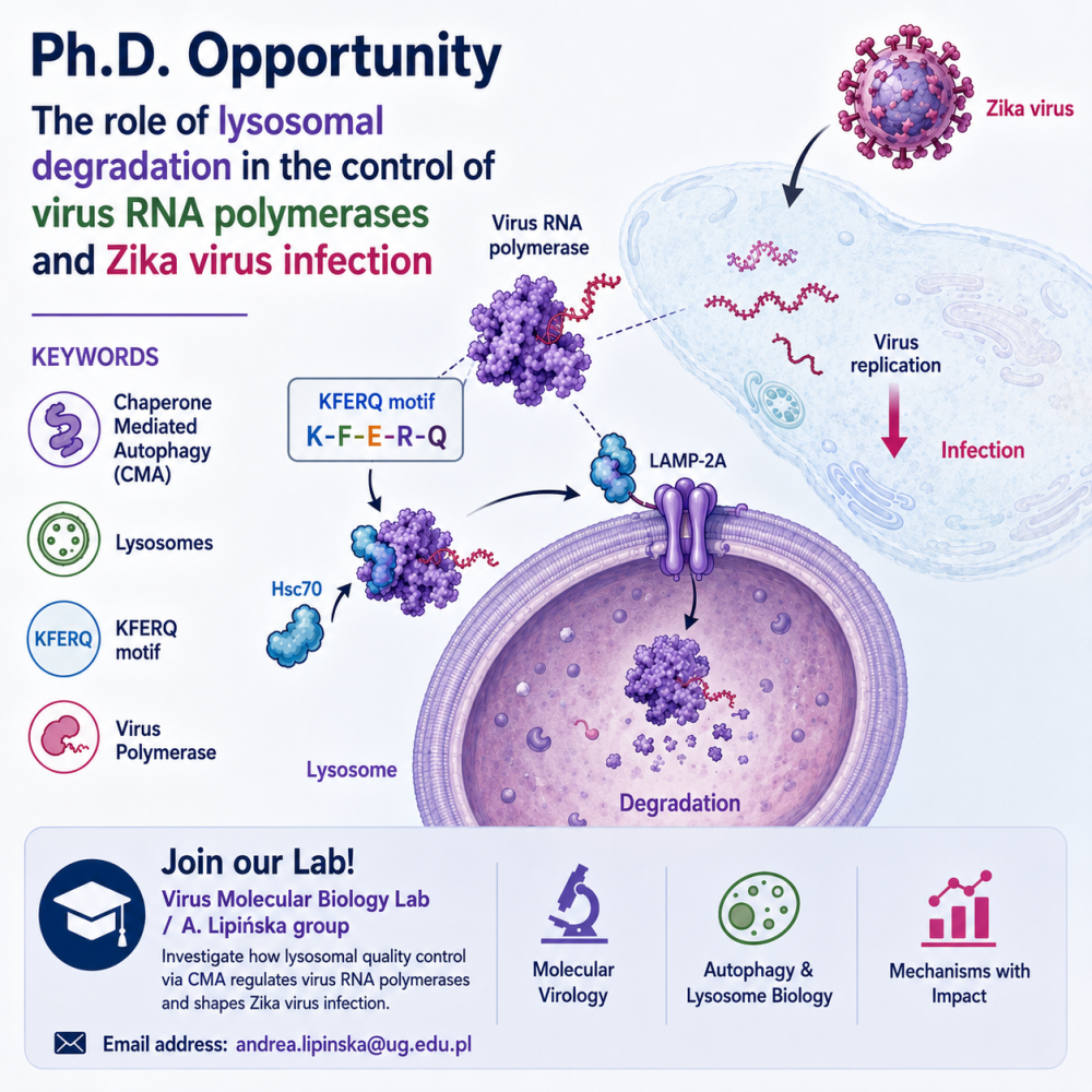 PhD offer Biotechnology Team