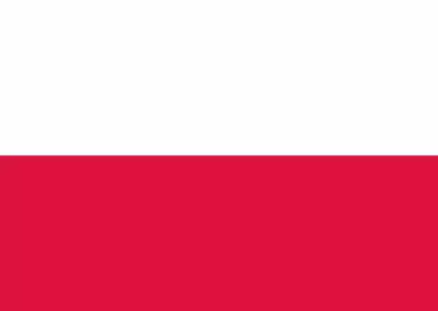 Polish language courses for foreigners